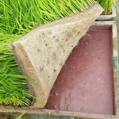 e432db7c-3960-4a0e-a984-178e2acfb70e